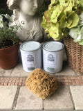 Small Sea Sponge